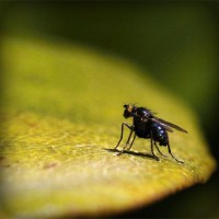 /album/anesakro/photolia-a07-jpg/